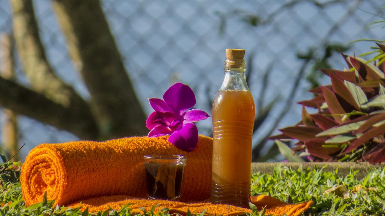 Ayurveda Spring Of Life Hotel Piliyandala Luaran gambar